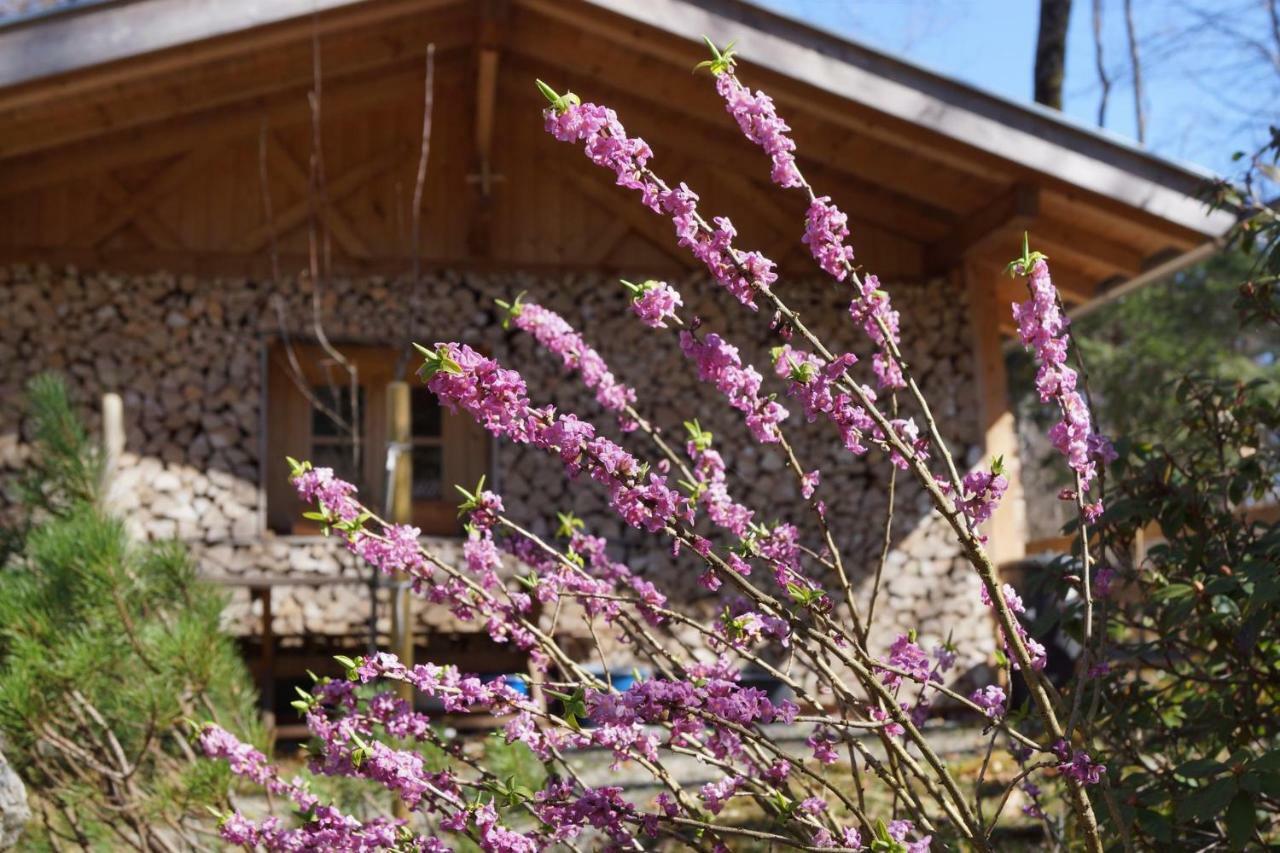 Hotel Ferienhaus Waldwinkl Grainau Exteriér fotografie
